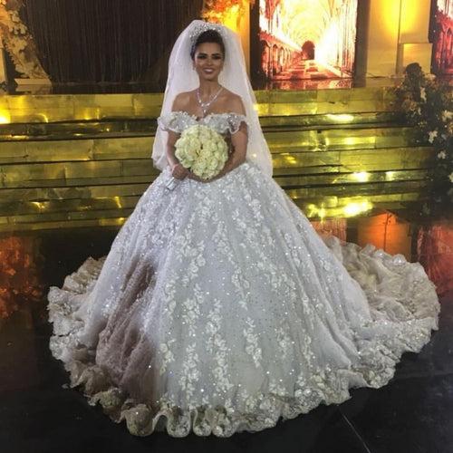 luxury sparkly wedding dresses ball gown lace applique elegant boho princess wedding gown